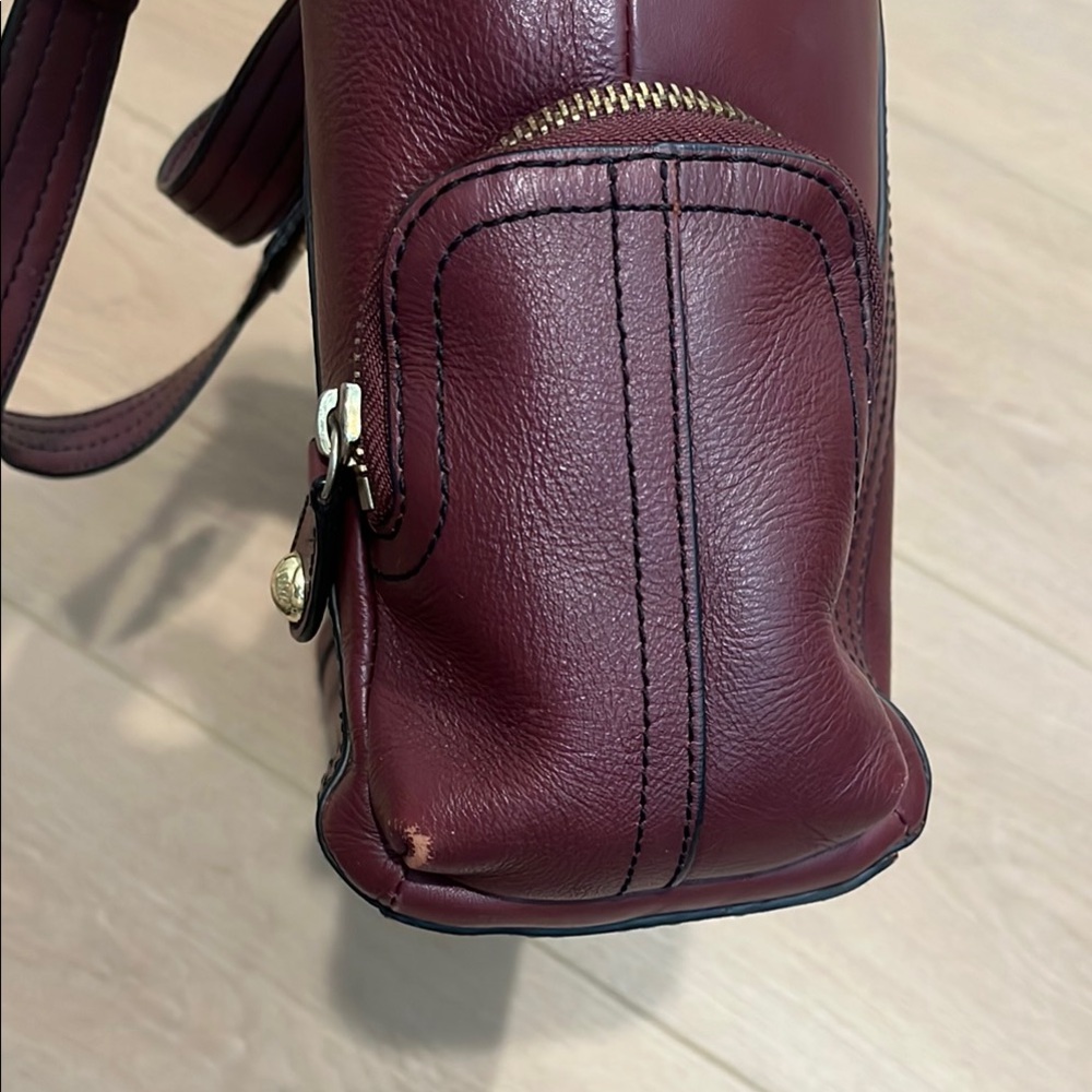 Etienne Aigner Burgundy Leather Shoulder Bag with Gold Hardware - Picture 6 of 16